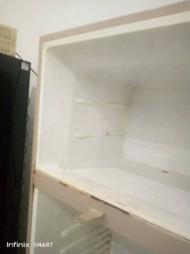 freezer 