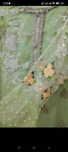 organza net dress