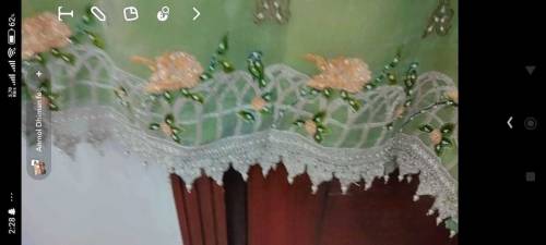organza net dress