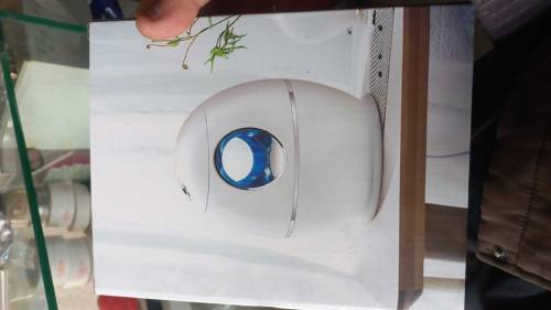 Humidifier 