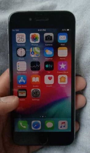 iPhone 6