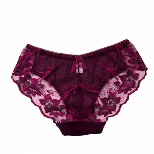 Briefs panty for girls. Lace women panties underwear_ladies undergarme