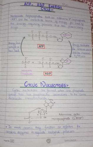 Get Your Assignments Done