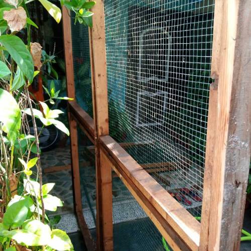 Frame For Sale
