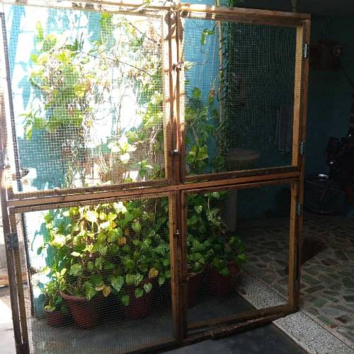 frame and pilai