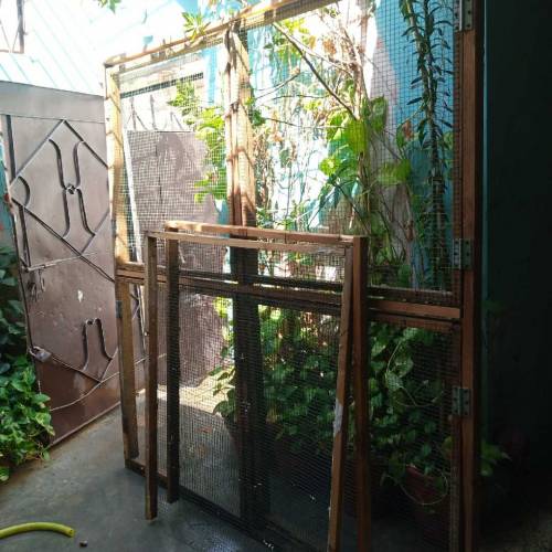frame and pilai
