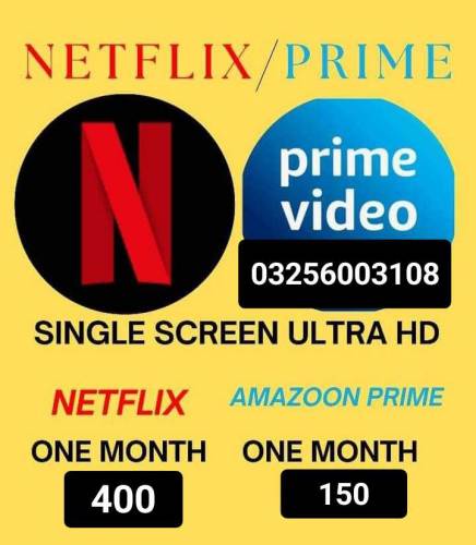 Netflix screen available 