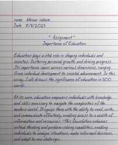 Assignment Writer 