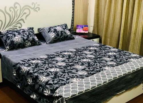 bed sheet 