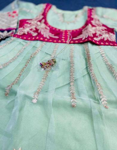 2 Pcs Women Stitched Fancy Organza Maxi