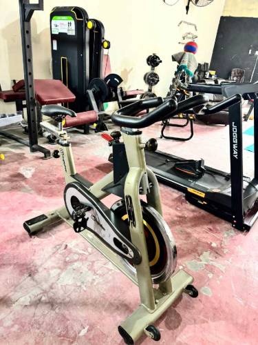 running cycle 
