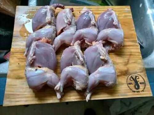 Hussain Batair/quail farm 