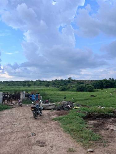 ASLAM O ALIKOM YA FARM HOUSE FOR RENT KY LIYA HY AP YAHA KOI B JANVER 