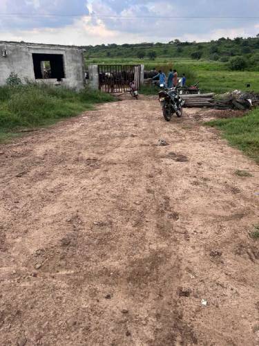 ASLAM O ALIKOM YA FARM HOUSE FOR RENT KY LIYA HY AP YAHA KOI B JANVER 