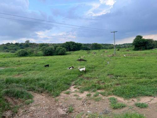 ASLAM O ALIKOM YA FARM HOUSE FOR RENT KY LIYA HY AP YAHA KOI B JANVER 