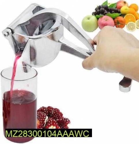 fruit press juicer