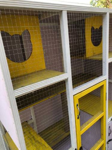 Cat House for sale