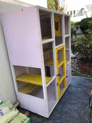 Cat House for sale