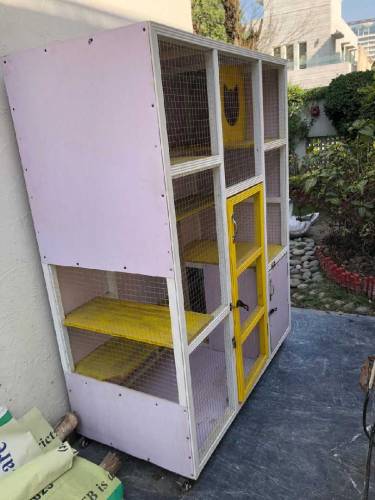 Cat House for sale
