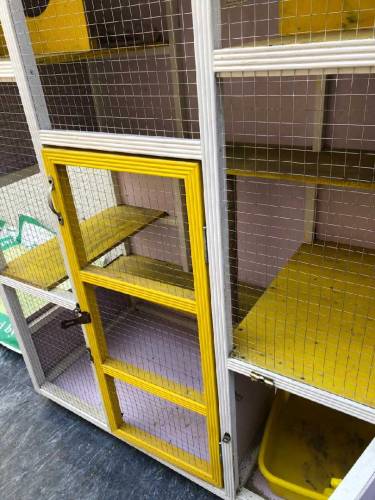 Cat House for sale