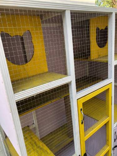 Cat House for sale