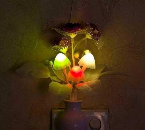 Cute Night Lamp, Flower• 