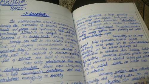 I am a professional assignment and article writter