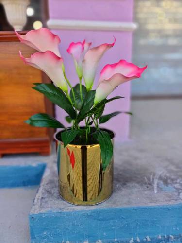 Artificial plants 