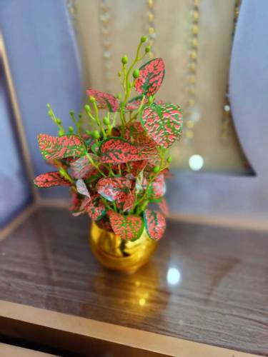 Artificial plants 