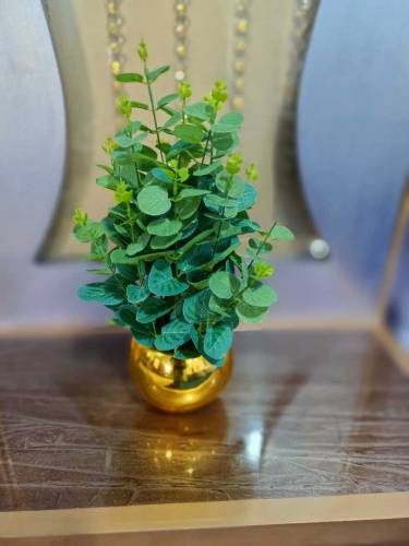Artificial plants 