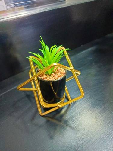 Artificial plants 