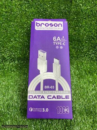 Mobile data cable 