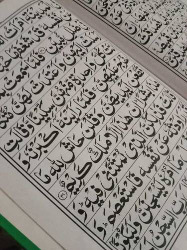 Online Quran Tutor Available
