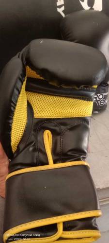 Punching Bag with gloves 