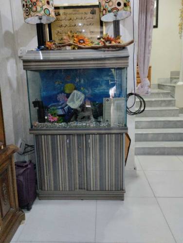 Aquarium 