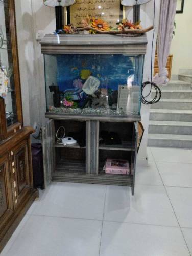 Aquarium 