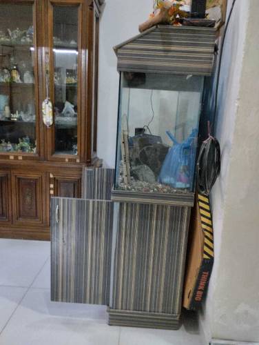 Aquarium 