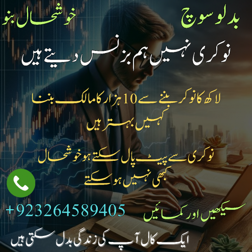 Online Business provider Per day income 10 to 20 dollar.