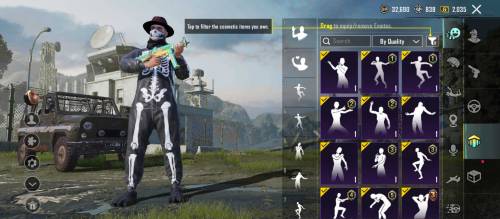 PUBG mobile id number 51781445804