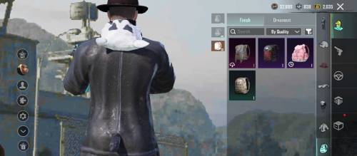 PUBG mobile id number 51781445804