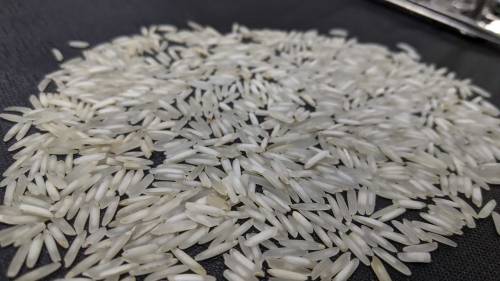 Rice 1121 Steam Kainaat
