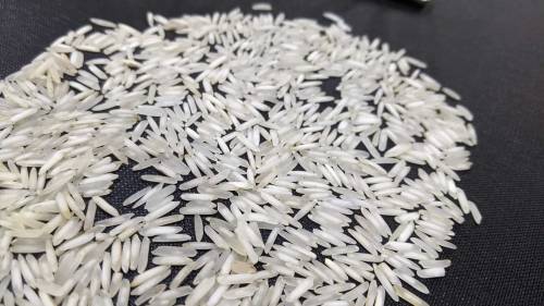 Rice 1121 Steam Kainaat