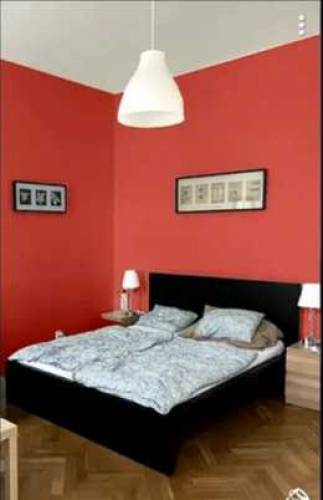 Paint service in Lahore 