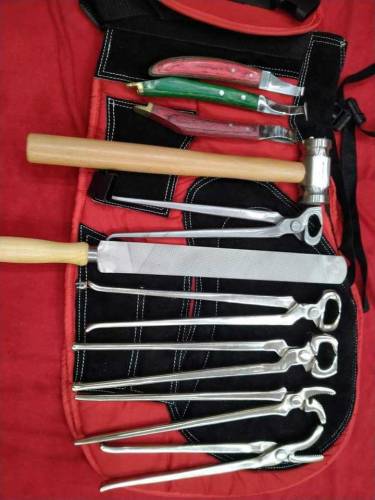 best quality of farrier tools at wholesale price 