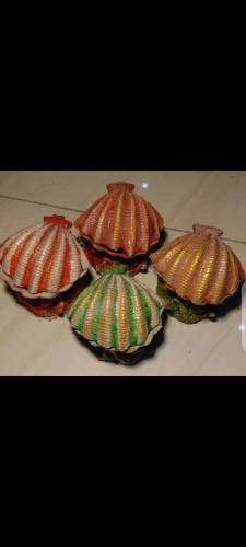DHC Aquarium's Accessories