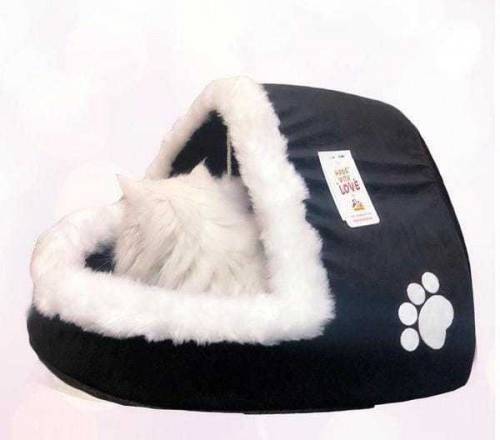 Cat Hoom
