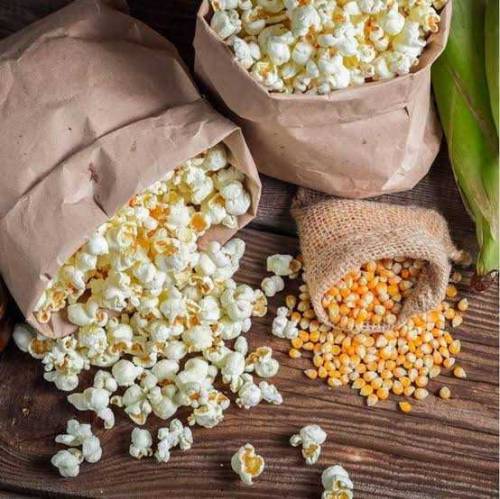 American popcorn seeds best quality and low price 
