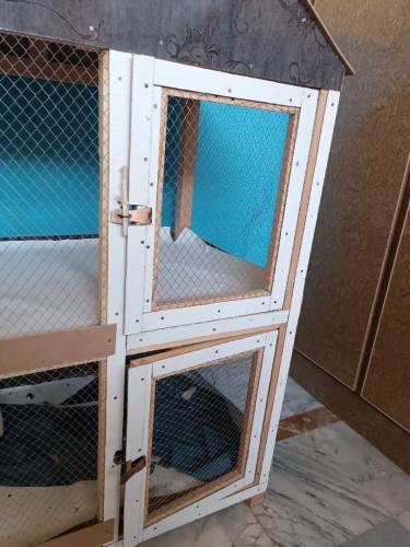 Hen house. best quality wood will be use. Two portion.15 hen are in