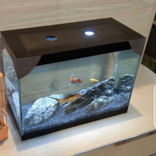 Fancy Mini Tank