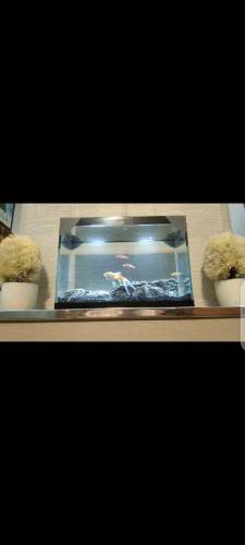 Fancy Mini Tank